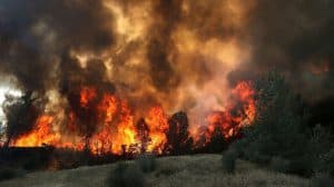 Erskine Fire Attorneys